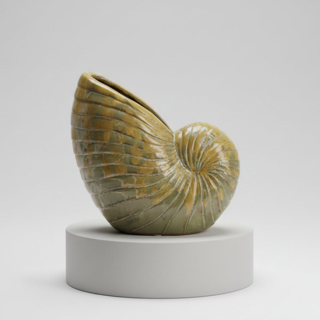 Maceta Esmaltada en Cerámica de Concha de Nautilus 30.5 x 30.5 x 15.5cm