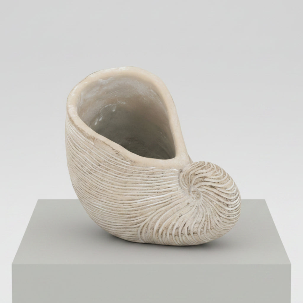 Jardinera de conchas 19,5 x 29 x 17 cm