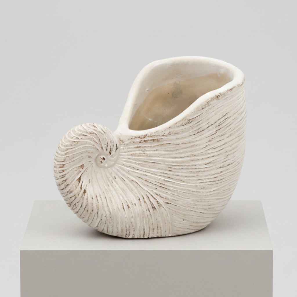 Jardinera de Conchas 16 x 21,5 x 14 cm
