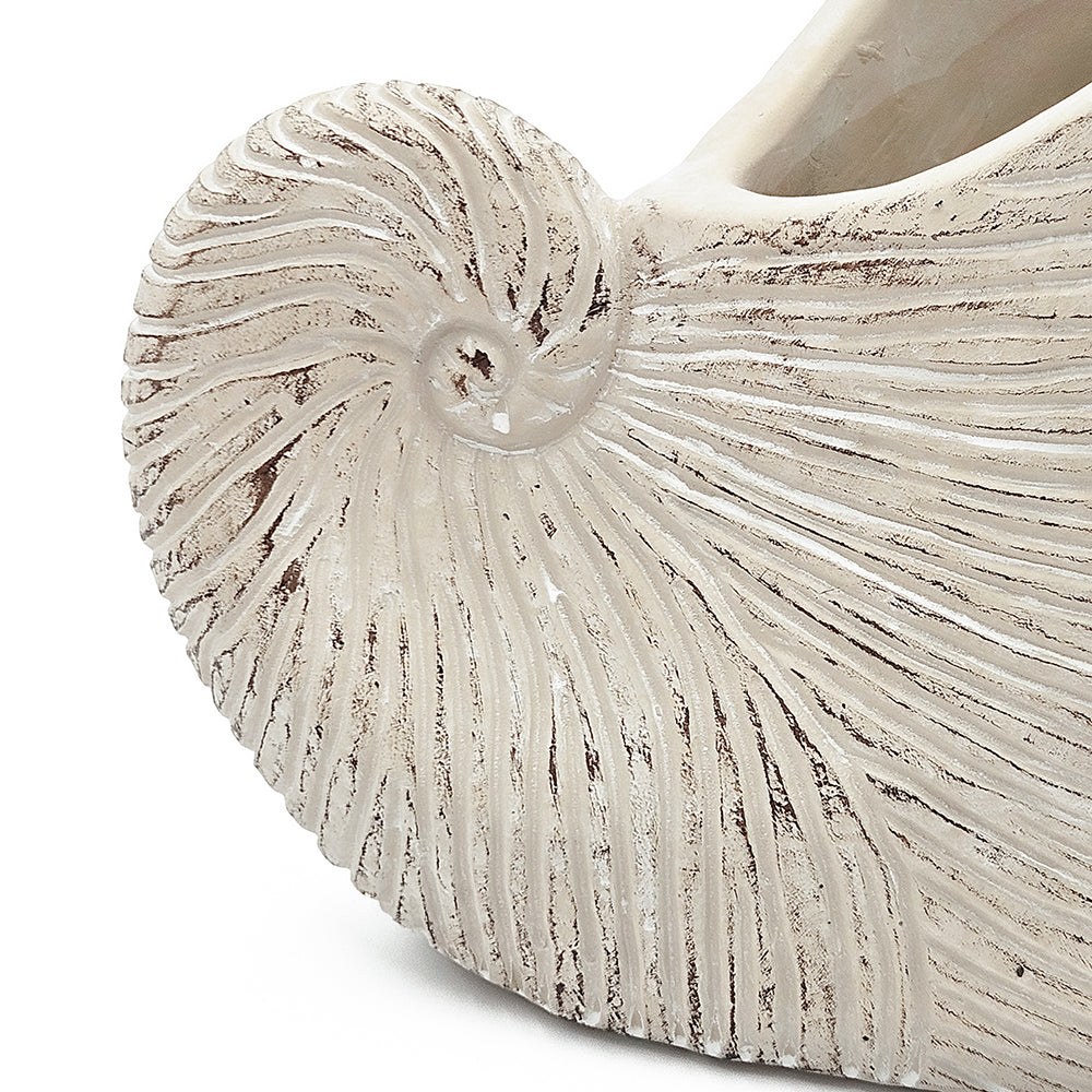 Jardinera de Conchas 16 x 21,5 x 14 cm