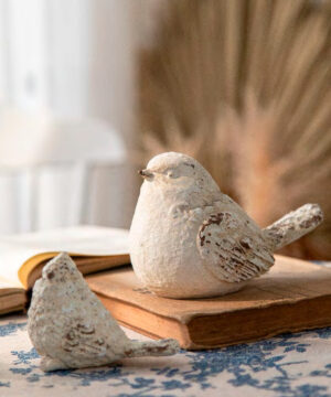Set Pajaros