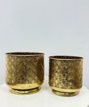 Set Materas Metalicas Pequeñas